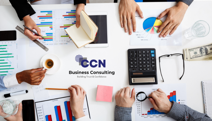 Expert Tax Advisory Services in Detroit: Empowering Businesses & Investors